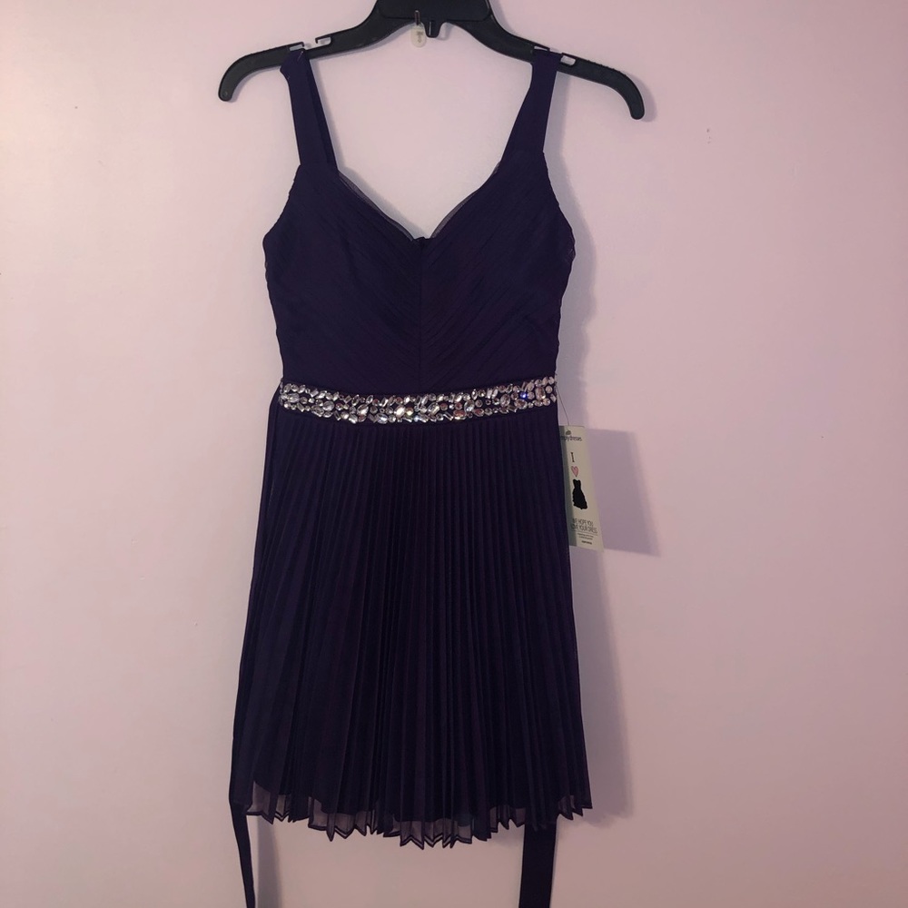 NWT Purple Pleated Dress